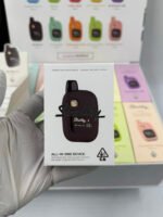 Stealthy Air 2g Disposable