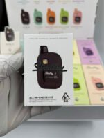 Stealthy Air 2g Disposable